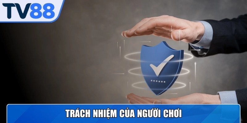Trách nhiệm, quyền hạn trong điều khoản dịch vụ nhà cái 